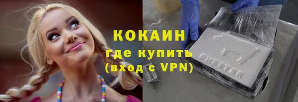 индика Аркадак
