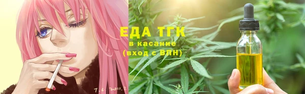 индика Аркадак