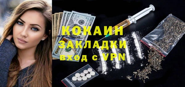 индика Аркадак