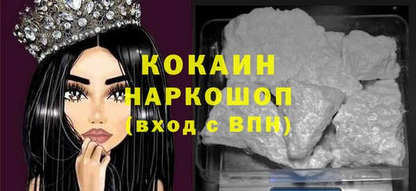 индика Аркадак