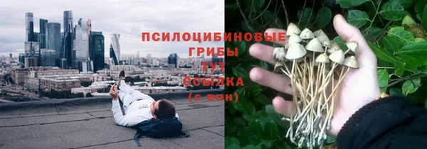 гидропоника Арсеньев